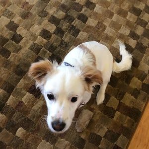 Meet your Posher, Becky